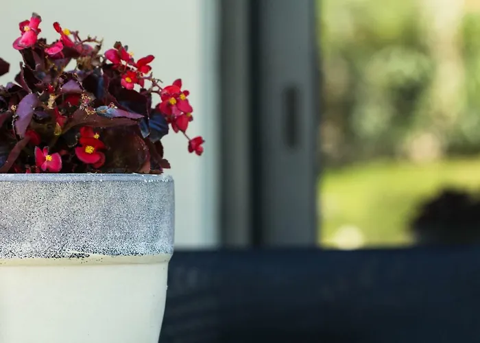 Villa Olivia Estate With Private Swimming Pool