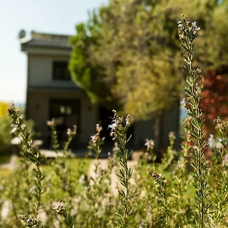 Olivia Estate With Private Swimming Pool * Elia Nikitis