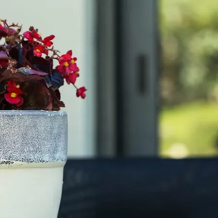 Willa Olivia Estate With Private Swimming Pool