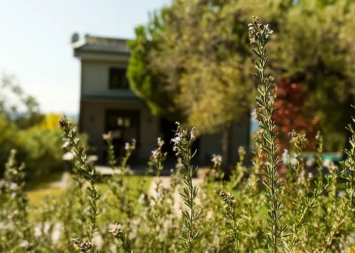 Olivia Estate With Private Swimming Pool * Elia Nikitis